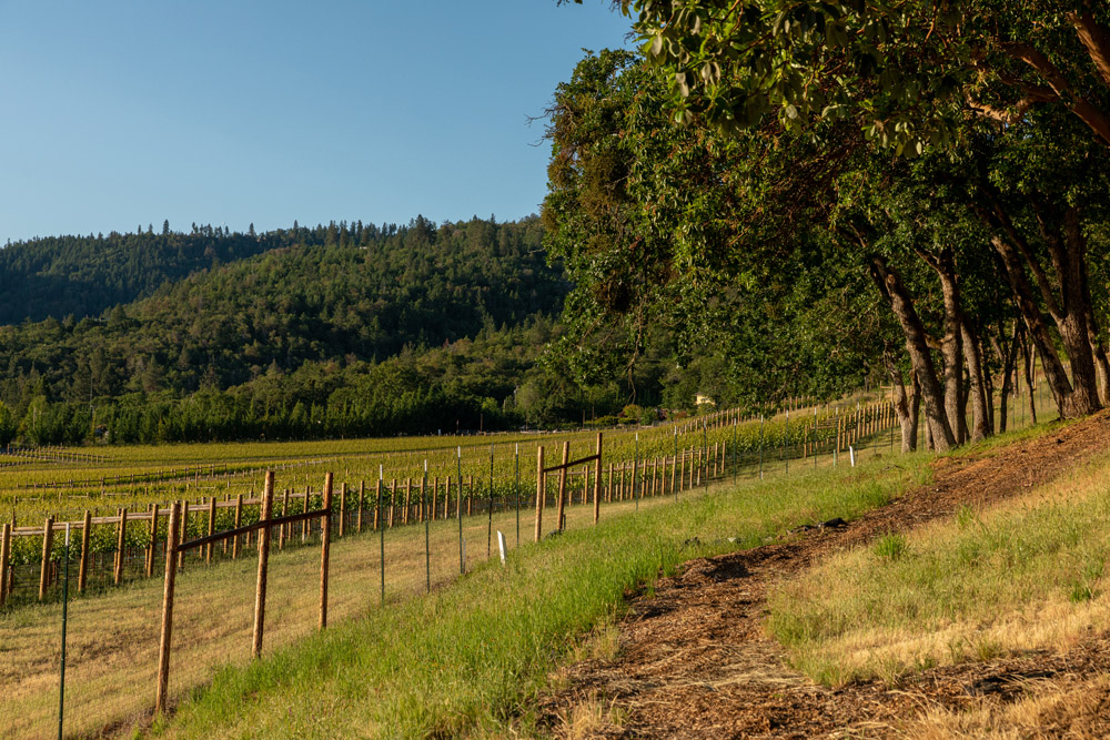 vineyard homesite