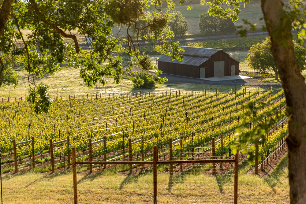 vineyard homesite