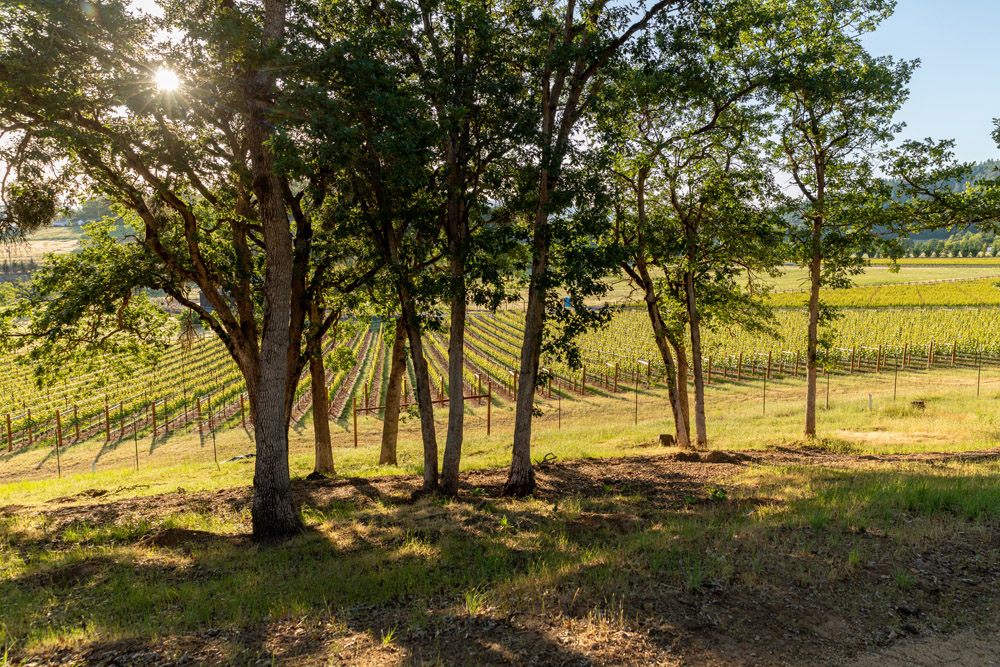 vineyard homesite