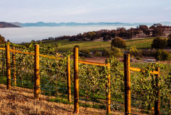 The Rogue Valley wine region
