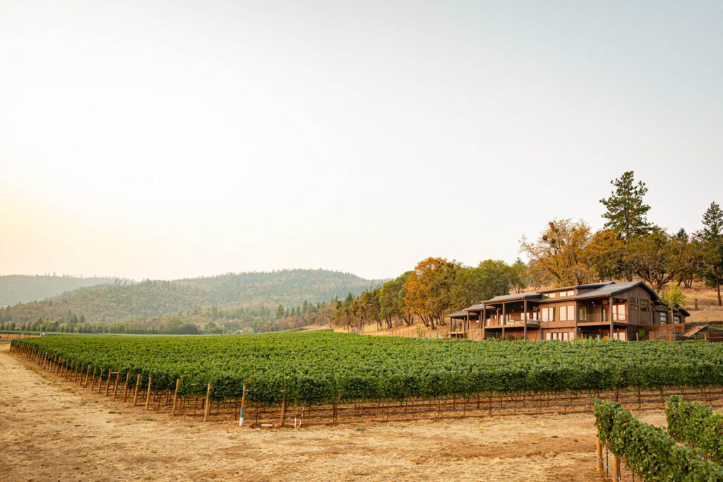 overlooking the vineyard house