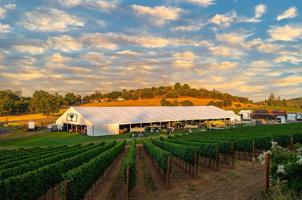 Getting Ready for the Oregon Wine Experience